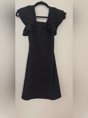 NWOT Haute Monde Double-Tier Ruffle Sleeve Mini Dress